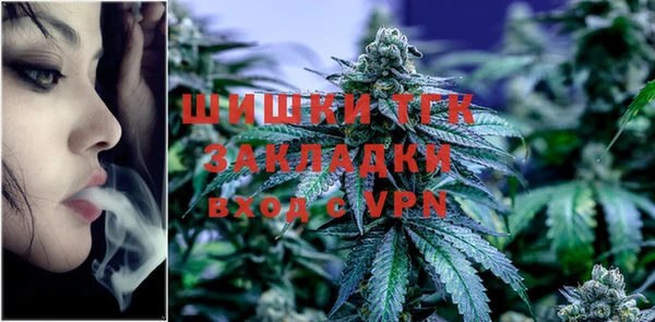mdpv Протвино