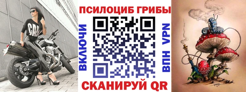 Псилоцибиновые грибы Cubensis где продают наркотики Петровск-Забайкальский