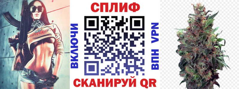 как найти наркотики Петровск-Забайкальский Шишки марихуана ГИДРОПОН